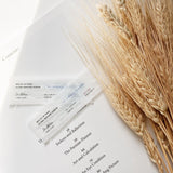 Multi-Action Ultra Repair Serum - Korean-Skincare