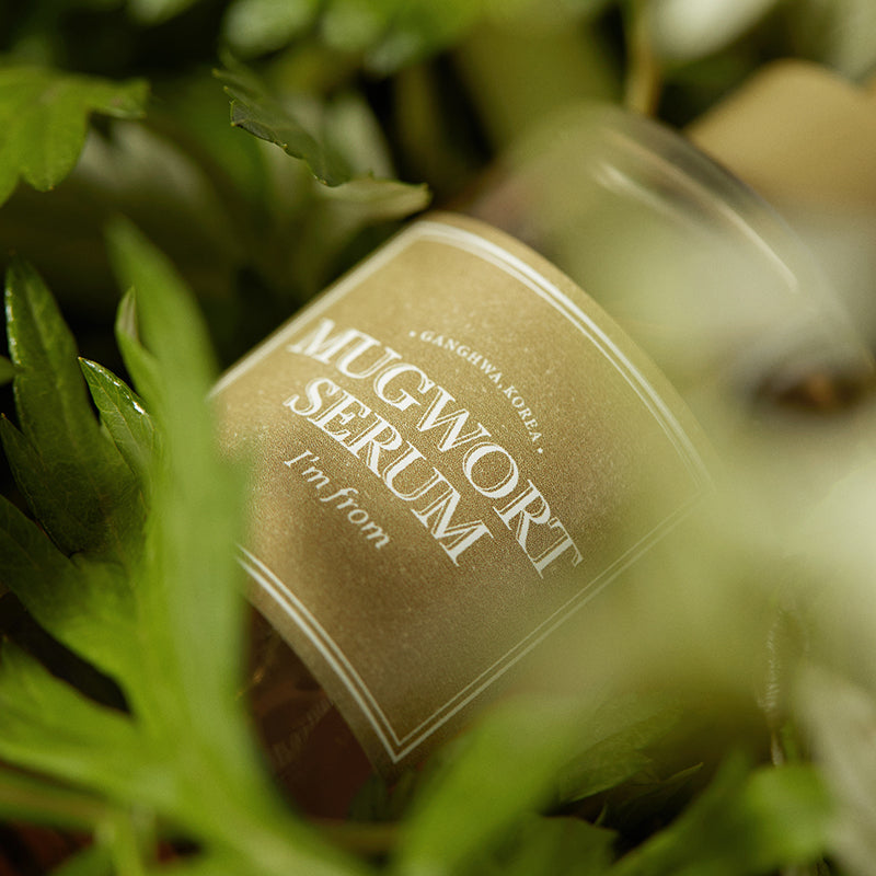 Mugwort Serum