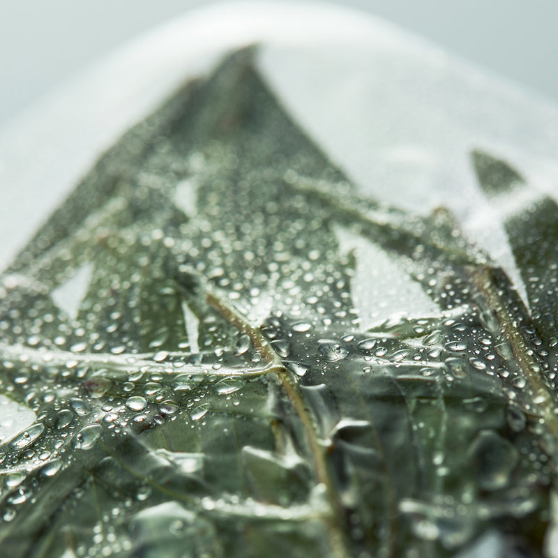 Vitamin Tree Water-Gel Advanced