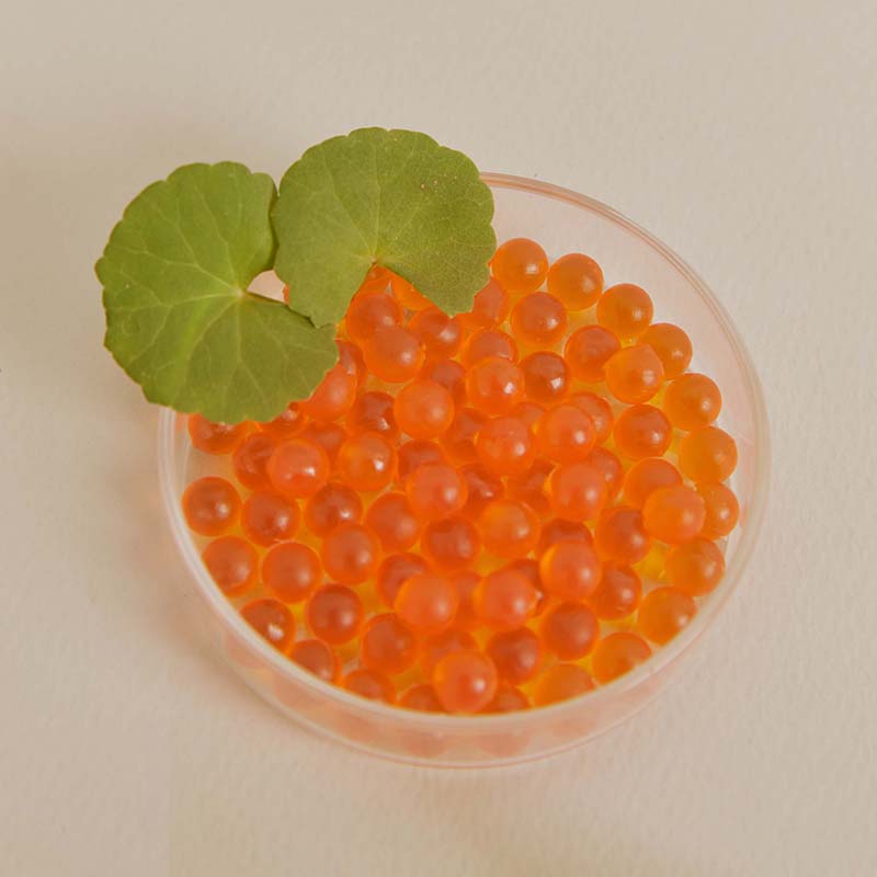 Salmon Fruity Centella Body Cream